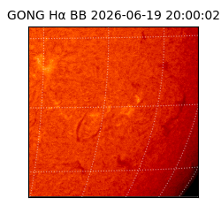 gong - 2026-06-19T20:00:02