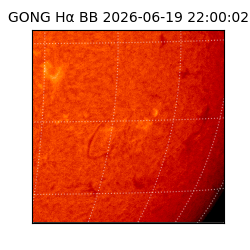 gong - 2026-06-19T22:00:02