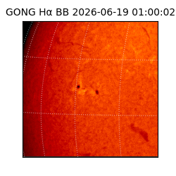 gong - 2026-06-19T01:00:02