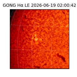gong - 2026-06-19T02:00:42