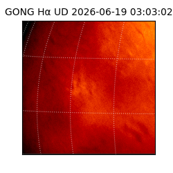 gong - 2026-06-19T03:03:02