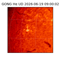 gong - 2026-06-19T09:00:02