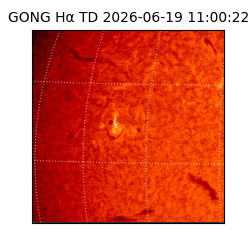 gong - 2026-06-19T11:00:22