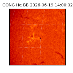 gong - 2026-06-19T14:00:02