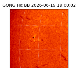 gong - 2026-06-19T19:00:02
