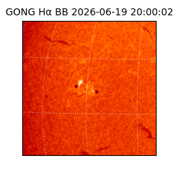gong - 2026-06-19T20:00:02