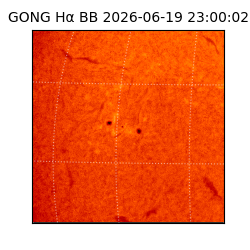 gong - 2026-06-19T23:00:02