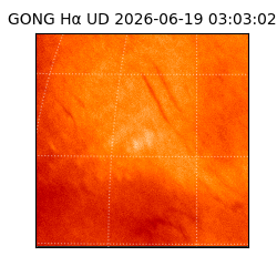 gong - 2026-06-19T03:03:02