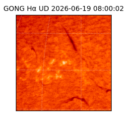 gong - 2026-06-19T08:00:02