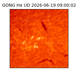 gong - 2026-06-19T09:00:02