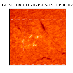 gong - 2026-06-19T10:00:02