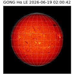 gong - 2026-06-19T02:00:42