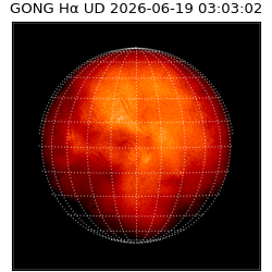 gong - 2026-06-19T03:03:02