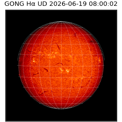 gong - 2026-06-19T08:00:02