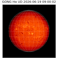gong - 2026-06-19T09:00:02