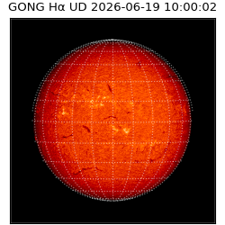 gong - 2026-06-19T10:00:02