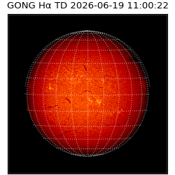 gong - 2026-06-19T11:00:22