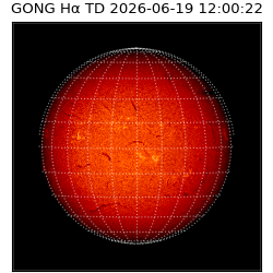 gong - 2026-06-19T12:00:22