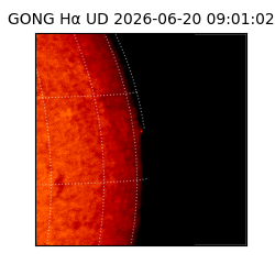 gong - 2026-06-20T09:01:02