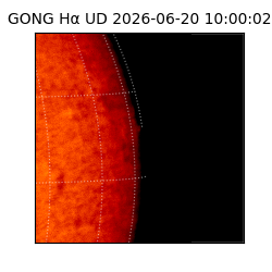 gong - 2026-06-20T10:00:02