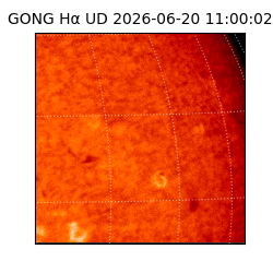 gong - 2026-06-20T11:00:02