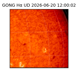 gong - 2026-06-20T12:00:02