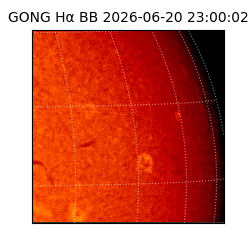 gong - 2026-06-20T23:00:02