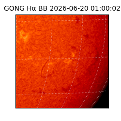gong - 2026-06-20T01:00:02