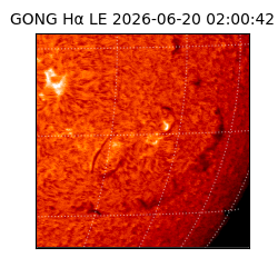 gong - 2026-06-20T02:00:42
