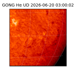 gong - 2026-06-20T03:00:02