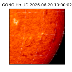 gong - 2026-06-20T10:00:02