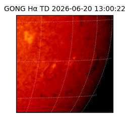 gong - 2026-06-20T13:00:22