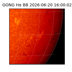 gong - 2026-06-20T16:00:02