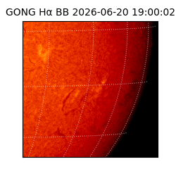 gong - 2026-06-20T19:00:02
