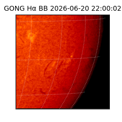 gong - 2026-06-20T22:00:02