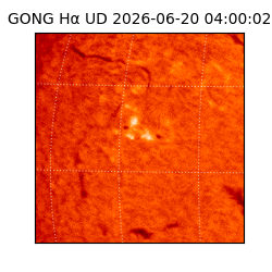gong - 2026-06-20T04:00:02
