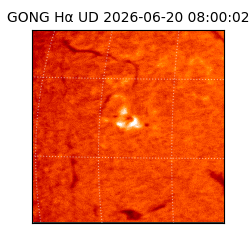 gong - 2026-06-20T08:00:02