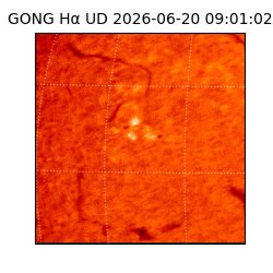 gong - 2026-06-20T09:01:02