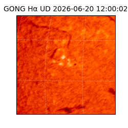 gong - 2026-06-20T12:00:02