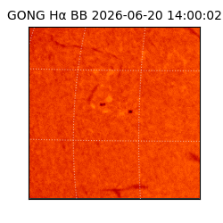 gong - 2026-06-20T14:00:02