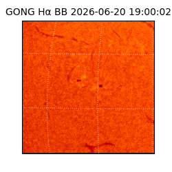 gong - 2026-06-20T19:00:02
