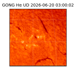 gong - 2026-06-20T03:00:02