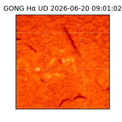 gong - 2026-06-20T09:01:02