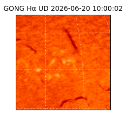 gong - 2026-06-20T10:00:02