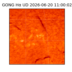 gong - 2026-06-20T11:00:02