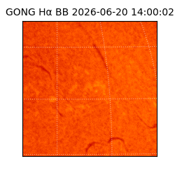 gong - 2026-06-20T14:00:02