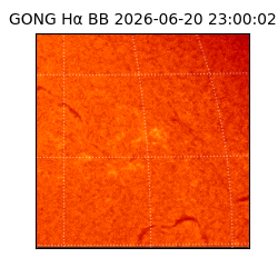 gong - 2026-06-20T23:00:02