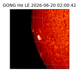 gong - 2026-06-20T02:00:42