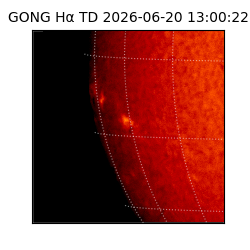 gong - 2026-06-20T13:00:22