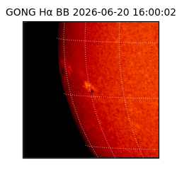 gong - 2026-06-20T16:00:02